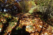 19 Sentiero qui tapezzato d'autunno